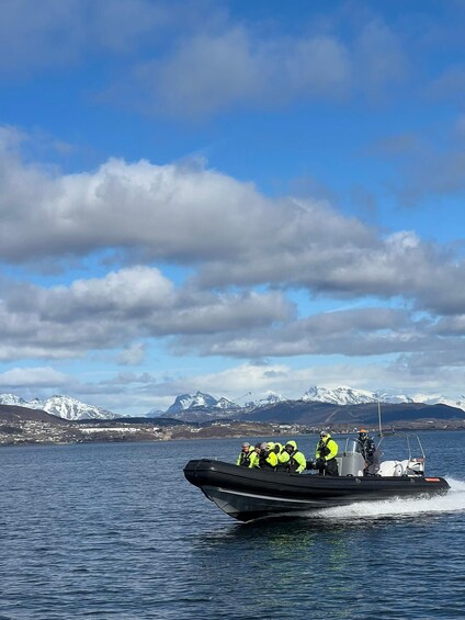 Picture 6 for Activity Bodø: Saltstraumen RIB Safari