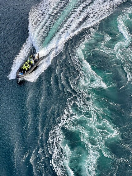 Picture 3 for Activity Bodø: Saltstraumen RIB Safari