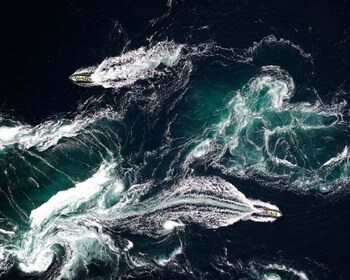Bodø: Saltstraumen RIB Safari