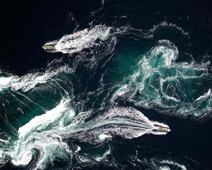 Picture 2 for Activity Bodø: Saltstraumen RIB Safari
