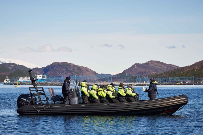 Picture 9 for Activity Bodø: Saltstraumen RIB Safari