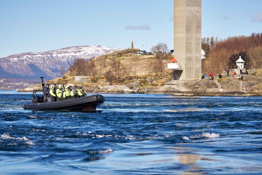 Picture 7 for Activity Bodø: Saltstraumen RIB Safari