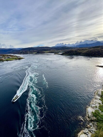 Picture 2 for Activity Bodø: Saltstraumen RIB Safari