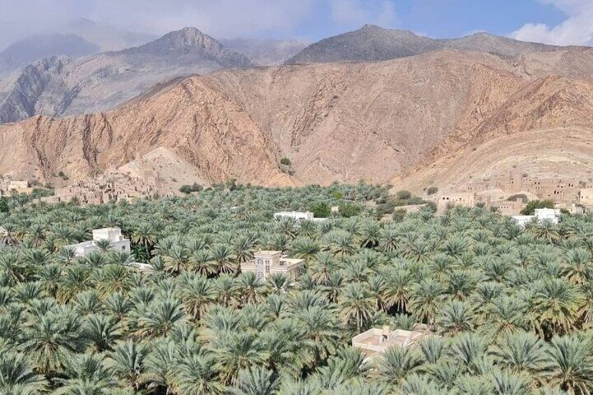 Private Day Tour of Oman's Natural Wonders in Nizwa Jabel Akhdar