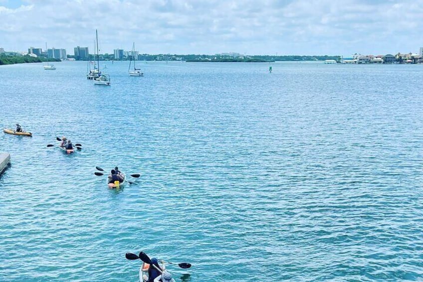 Kayaking Clear through Clearwater