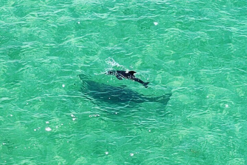 Kayaking Clear through Clearwater