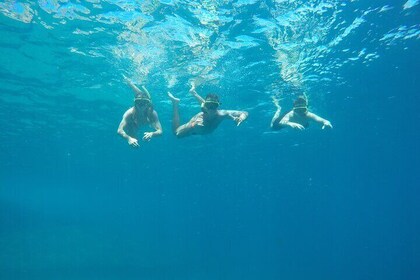 3 Hours Snorkel and Swim with Turtles Tour at Tijuca Islands