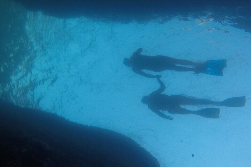 3 Hours Snorkel and Swim with Turtles Tour at Tijuca Islands