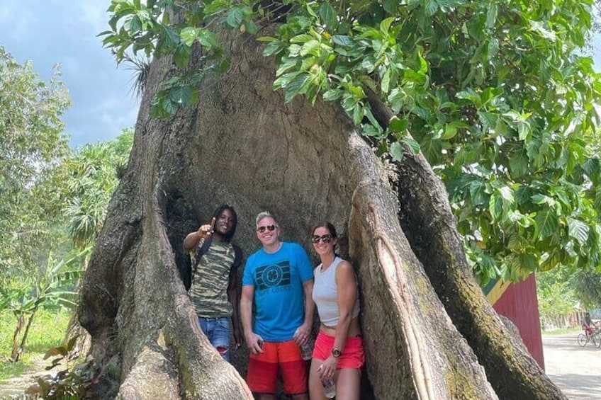 Private Rastasafari Experirence Tour