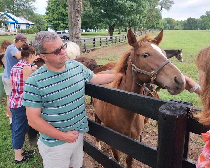 Lexington: Thoroughbred Horse Farm Tour and Scenic Bluegrass