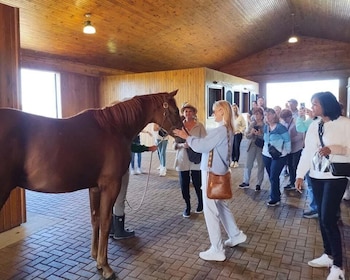 Lexington : Visite de la ferme de chevaux et Keeneland Race Track Visite