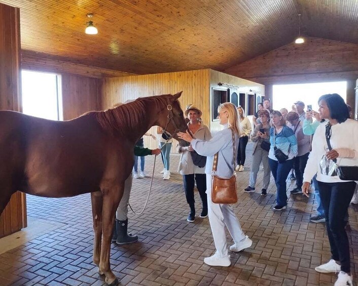 Picture 1 for Activity Lexington: Thoroughbred Horse Farm Tour and Scenic Bluegrass