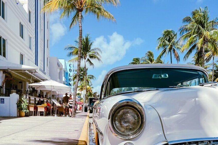 Best of Miami Beach Top Sights & Hidden Gems Walk + Trolley Tour
