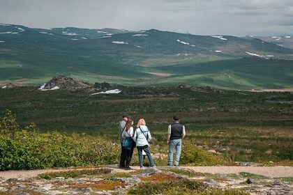 8-12 Hour Private Arctic Circle Experience in Alaska with Lunch