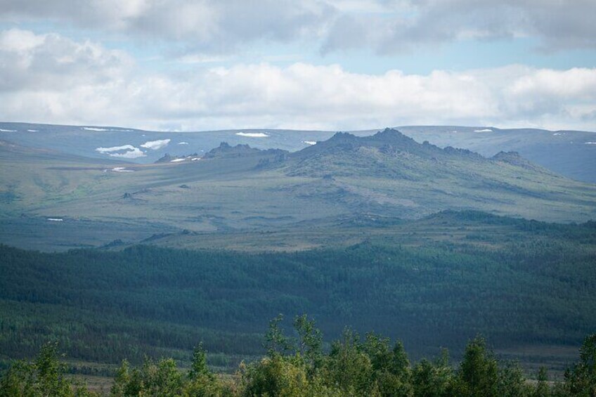 8-12 Hours Arctic Circle Experience in Alaska with Lunch