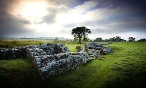 Hadrian's Wall: Birdoswald Roman Fort Entry Ticket