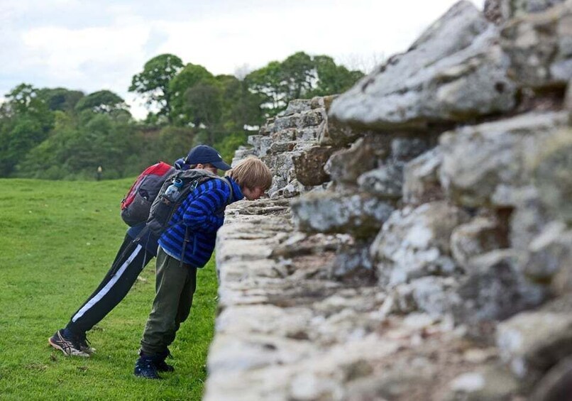 Picture 4 for Activity Hadrian's Wall: Birdoswald Roman Fort Entry Ticket