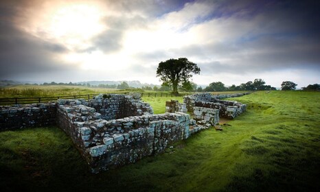 Hadrian's Wall: Birdoswald Roman Fort Eintrittskarte