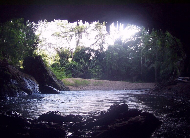 Picture 4 for Activity San Ignacio: Cave Tubing with Lunch & Optional Zipline