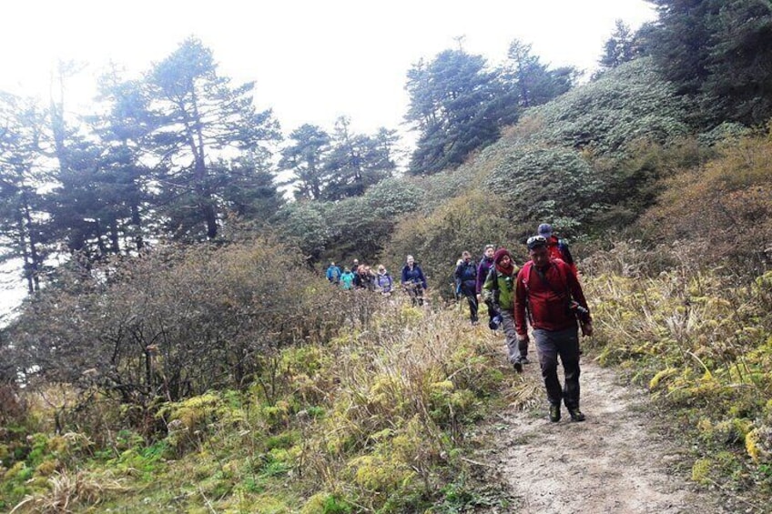 Singalila Ridge Trek from Darjeeling 