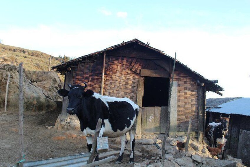Mountain village along the way to Singalila ridge trek
