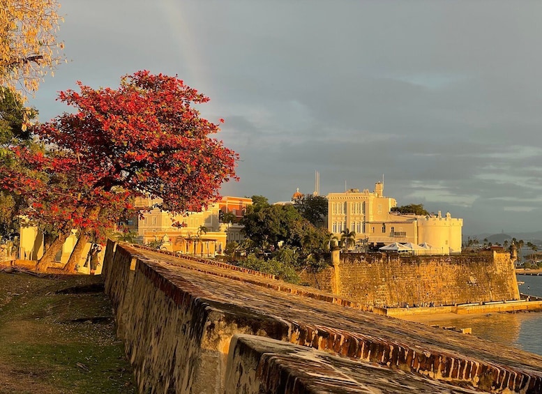 Picture 7 for Activity San Juan: Old Town Sunset Walking Tour