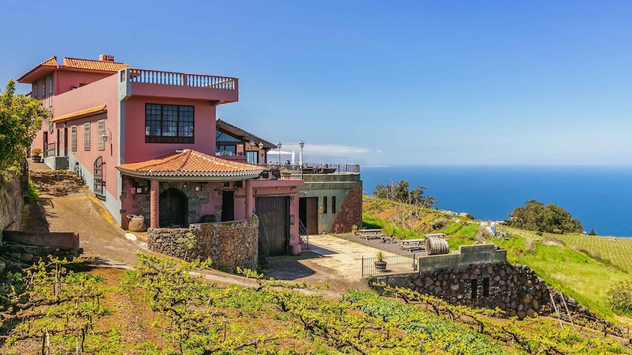 Tacoronte: Guided Winery Tour with Wine and Cheese Tastings