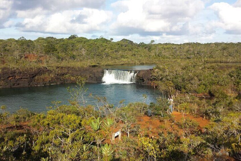 Private One Day Tour through The Deep South