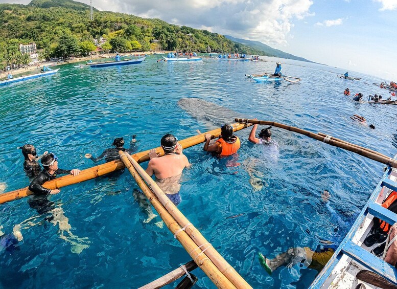 Picture 1 for Activity From Cebu: Oslob Whale Shark Snorkeling and Canyoning Tour