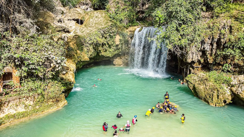 Picture 2 for Activity From Cebu: Whale Shark Snorkeling & Kawasan Canyoning Tour