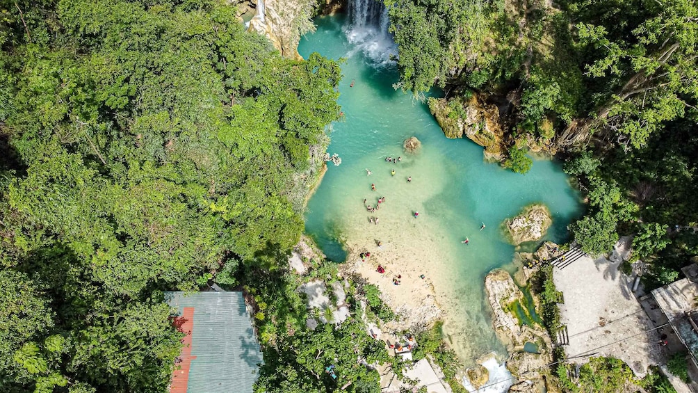 Picture 13 for Activity From Cebu: Whale Shark Snorkeling & Kawasan Canyoning Tour