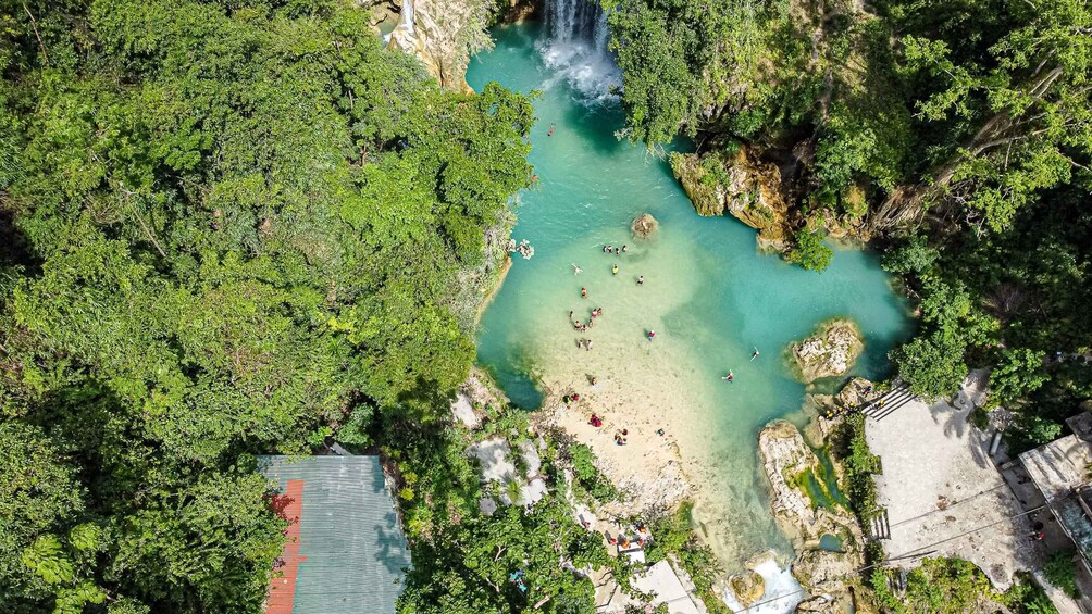 Picture 13 for Activity From Cebu: Whale Shark Snorkeling & Kawasan Canyoning Tour