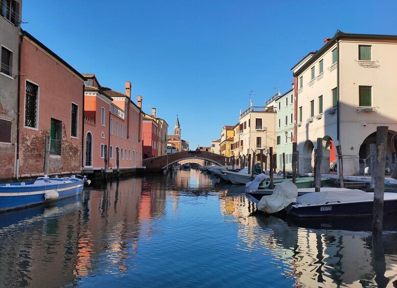 Picture 13 for Activity Chioggia: Venetian Lagoon and Canals Boat Tour