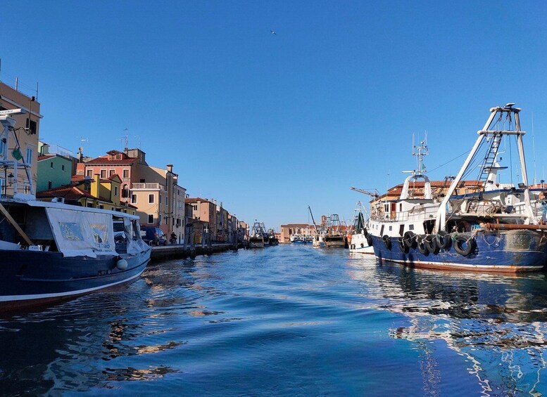 Picture 8 for Activity Chioggia: Venetian Lagoon and Canals Boat Tour