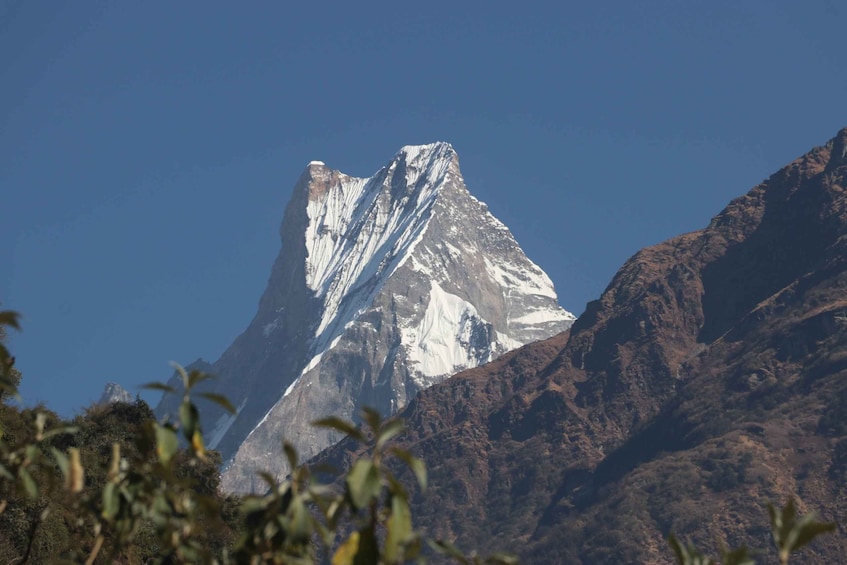 Picture 1 for Activity From Pokhara: 5-Day Annapurna Base Camp Trek