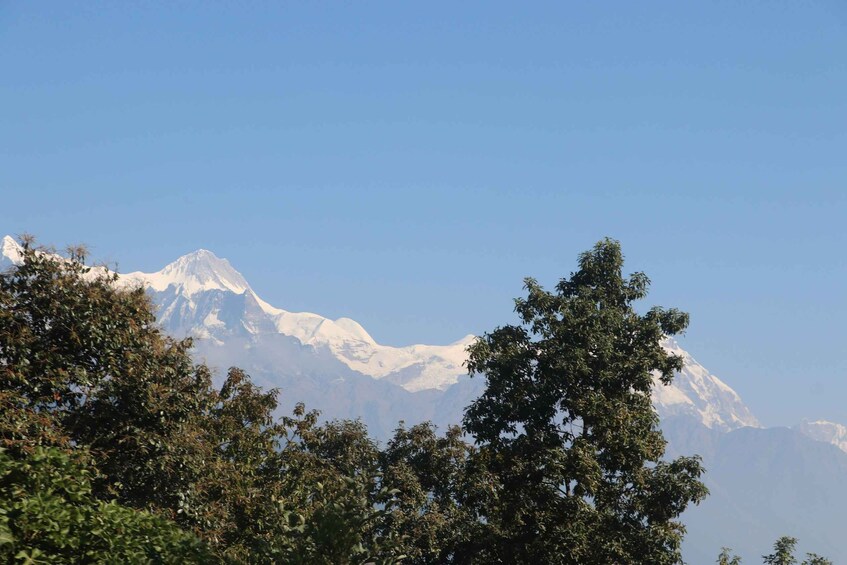 Picture 3 for Activity From Pokhara: 5-Day Annapurna Base Camp Trek