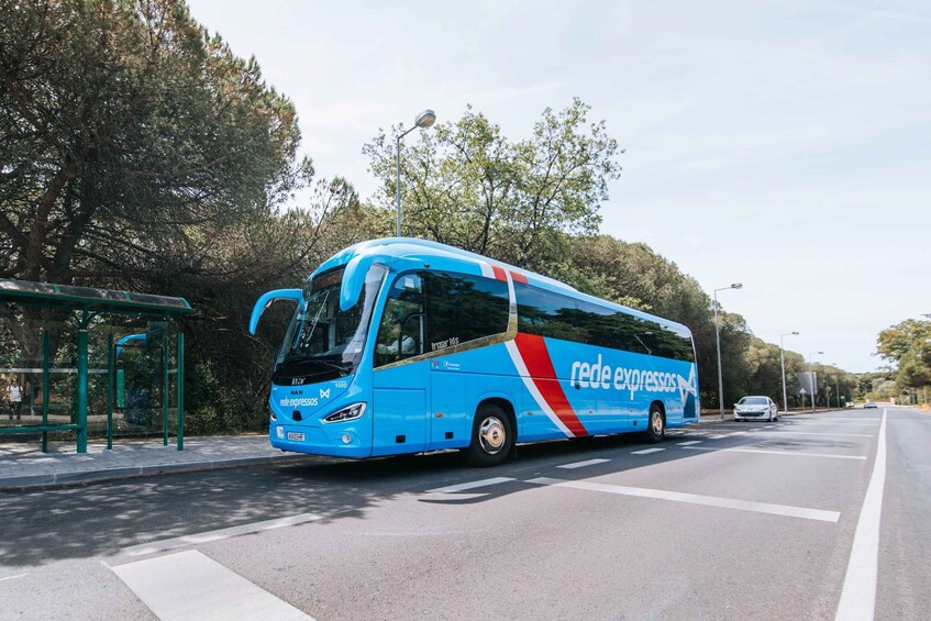 Picture 3 for Activity Porto Airport (OPO): to/from the Oriente Station in Lisbon