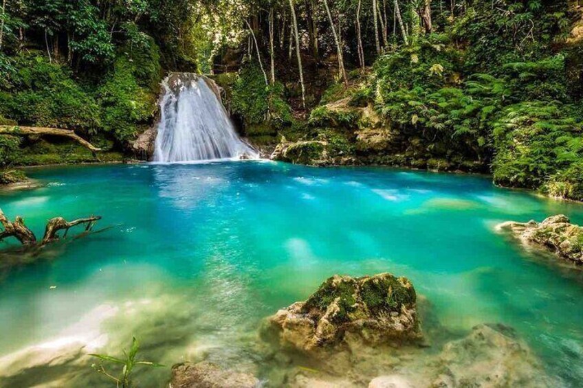 Horse Back Riding and Blue Hole Ocho Rios Private Tour