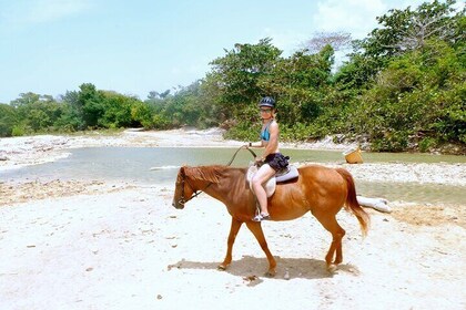 Horse Back Riding and Blue Hole Ocho Rios Private Tour