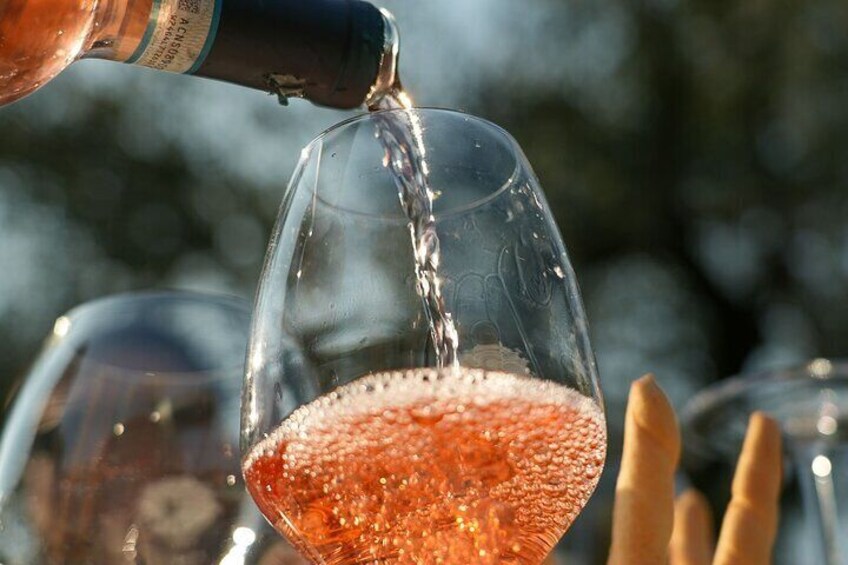 Wine and Food Tasting on Bardolino Hills