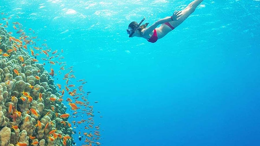 Phu Quoc: Speedboat Tour of 4 Islands with Snorkeling & BBQ