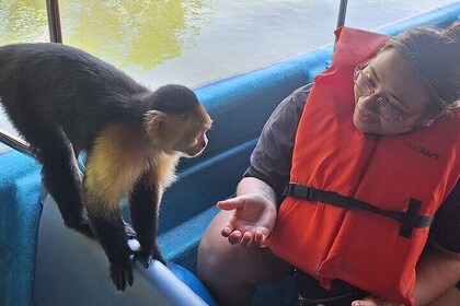 Monkey Island - Eco Wild Life Adventure on Lake Gatun