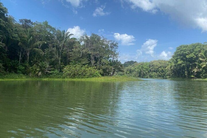 Private Tour - Eco Wild Life Adventure in Gatun Lake