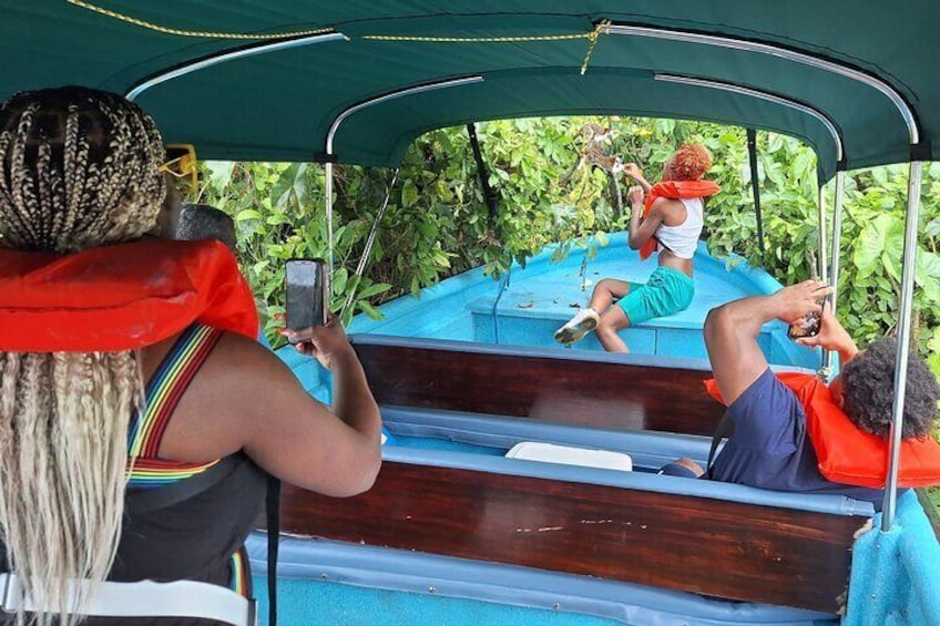 Monkey Island - Eco Wild Life Adventure on Lake Gatun