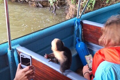 Monkey Island - Eco Wild Life Adventure on Lake Gatun