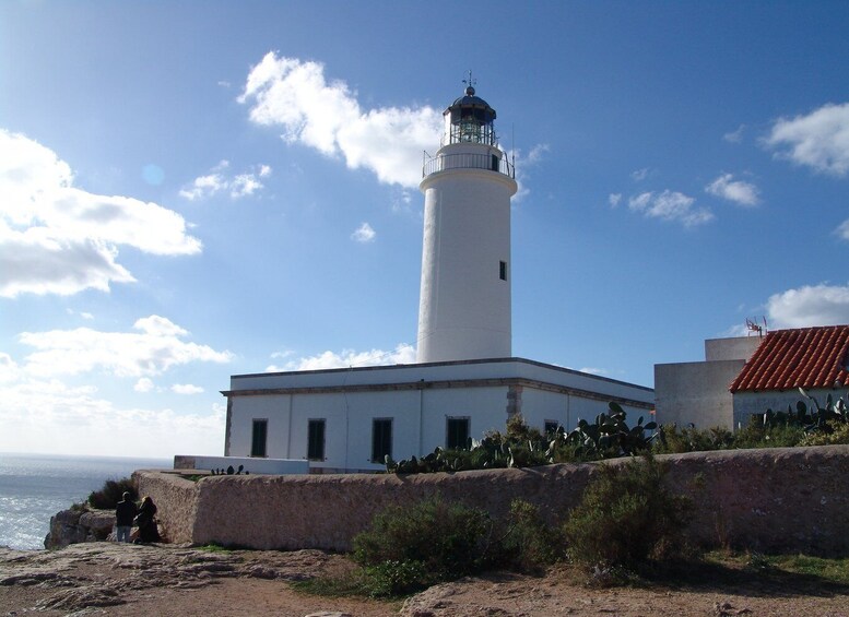 Picture 6 for Activity From Ibiza: Ferry and Guided Bus Excursion in Formentera