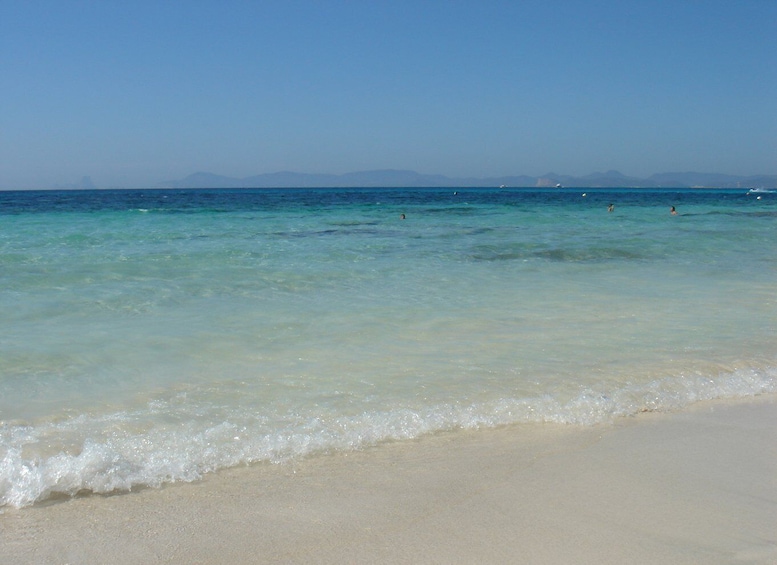 Picture 1 for Activity From Ibiza: Ferry and Guided Bus Excursion in Formentera