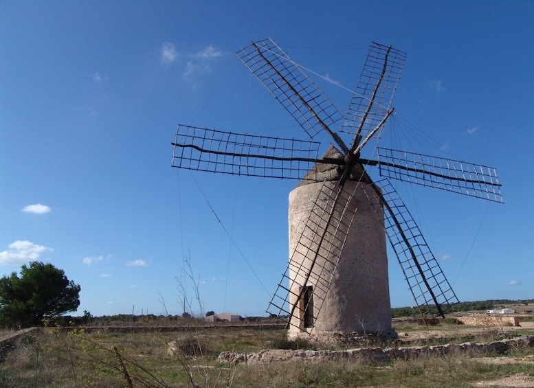 Picture 7 for Activity From Ibiza: Ferry and Guided Bus Excursion in Formentera