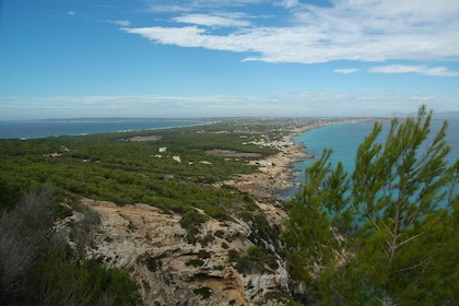 Depuis Ibiza : Excursion en ferry et en bus guidé à Formentera