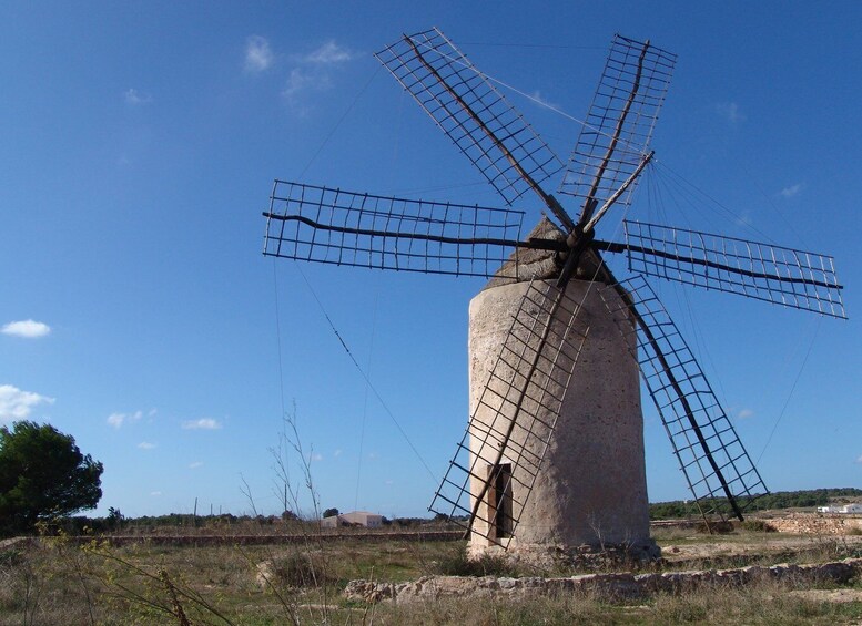 Picture 7 for Activity From Ibiza: Ferry and Guided Bus Excursion in Formentera